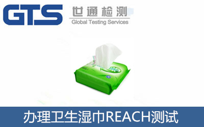 辦理衛(wèi)生濕巾REACH測(cè)試