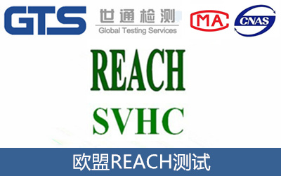 REACH測試