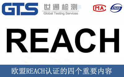 �W��REACH�J(r��n)�C���Ă�(g��)��Ҫ��(n��i)��