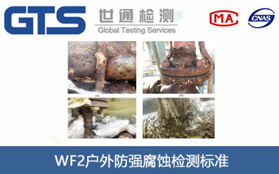 WF2戶外防強(qiáng)腐蝕檢測